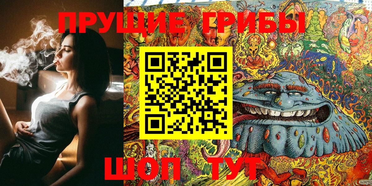 Псилоцибиновые грибы MAGIC MUSHROOMS  Вход с VPN  как найти   Галлюциногенные грибы Cubensis  Мытищи 