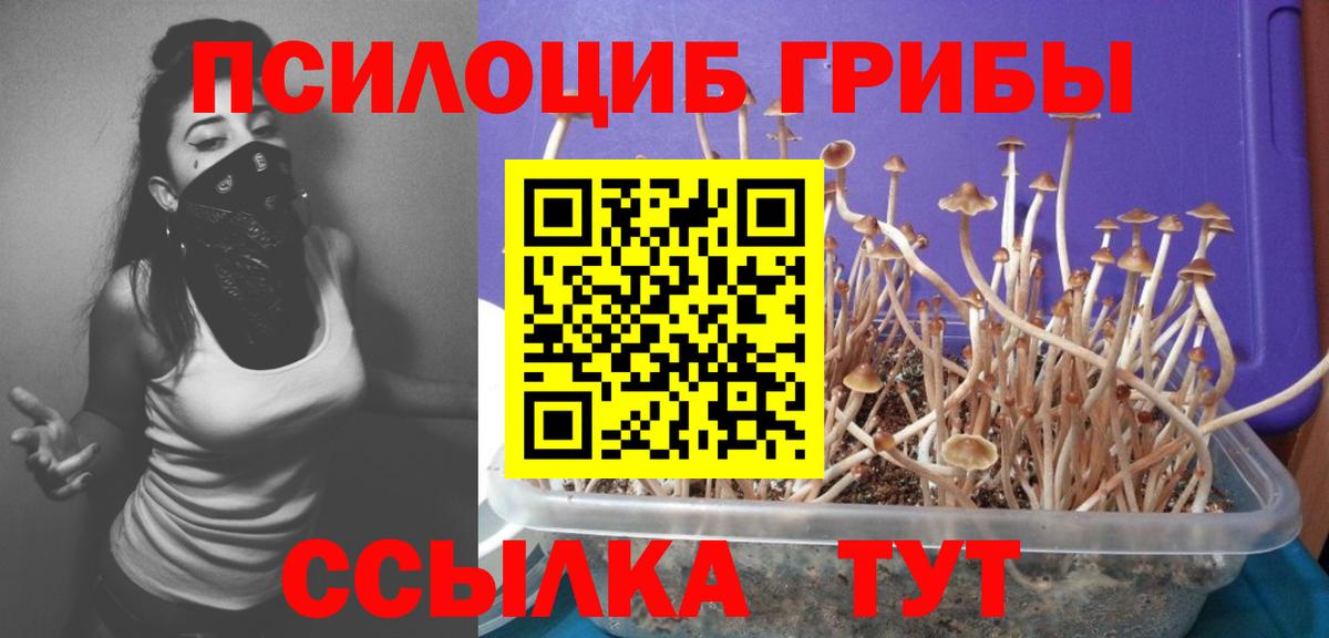Псилоцибиновые грибы MAGIC MUSHROOMS Мытищи